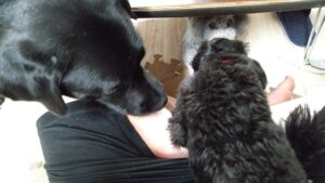 夜のお時間　2025/5/21