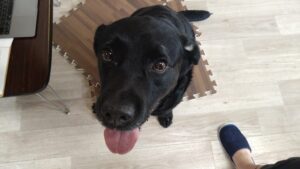 朝のお時間　2025/5/22