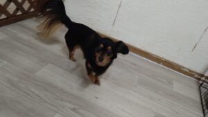 夜のお時間　2025/5/22