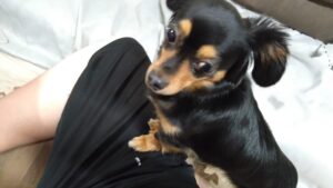 夜のお時間　2025/5/23