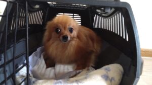 朝のお時間　2025/5/24