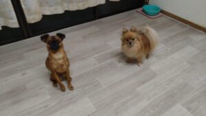 夜のお時間　2025/5/24