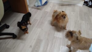 朝のお時間　2025/5/25