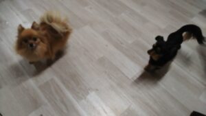 夜のお時間　2025/5/25