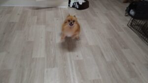 朝のお時間　2025/5/26