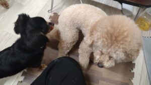 夜のお時間 2025/5/26