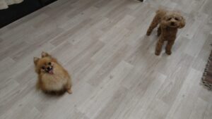 夜のお時間　2025/5/27