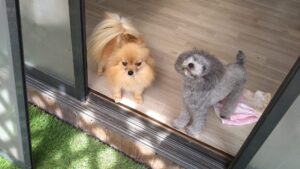 朝のお時間　2025/5/28