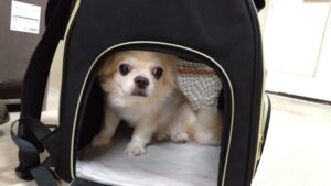 夜のお時間　2025/5/28