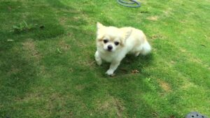 朝のお時間 2025/5/29