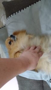 夜のお時間　2025/5/29