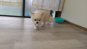 朝のお時間　2025/5/30