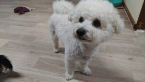 夜のお時間　2025/5/30