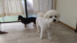 朝のお時間　2025/5/31