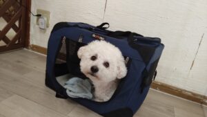 朝のお時間　2025/6/1