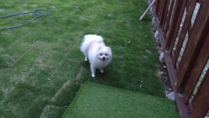 夜のお時間 2025/6/1