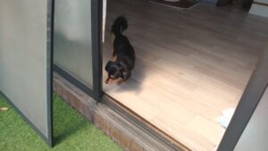 朝のお時間　2025/6/2