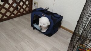 夜のお時間　2025/6/2