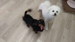 朝のお時間　2025/6/3