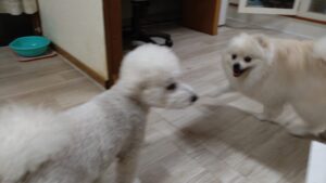 夜のお時間　2025/6/3