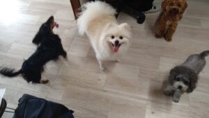 朝のお時間　2025/6/4