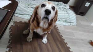 夜のお時間　2025/6/4