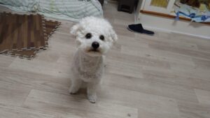 夜のお時間　2025/6/5