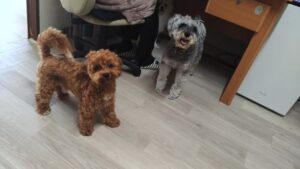 朝のお時間　2025/6/6