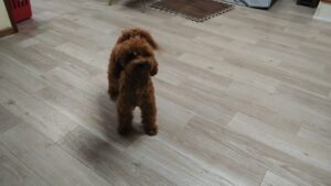 夜のお時間　2025/6/6