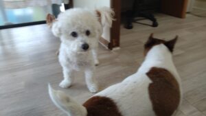 午前のお時間　2025/6/7