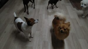 夜のお時間　2025/6/7