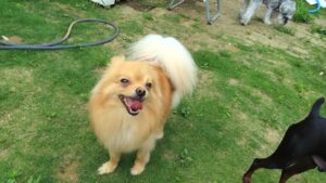 午前のお時間　2025/6/8