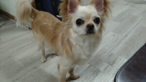 夜のお時間　2025/6/8