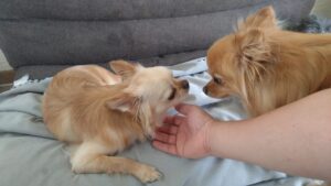 朝のお時間　2025/6/9