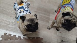 夜のお時間　2025/6/9