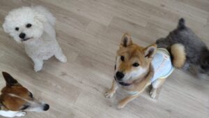 午前のお時間　2025/6/10