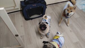 夜のお時間　2025/6/10