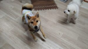 夜のお時間　2025/6/11