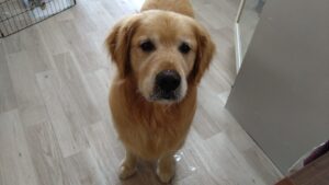 朝のお時間　2025/6/12