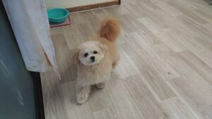 夜のお時間　2025/6/12