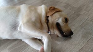 朝のお時間　2025/6/13