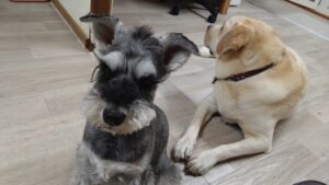 夜のお時間　2025/6/14