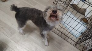 午前のお時間　2025/6/15