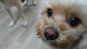 夜のお時間　2025/6/15