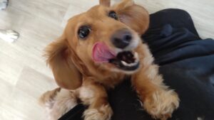 朝のお時間　2025/6/16