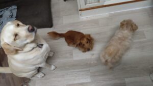 夜のお時間　2025/6/16