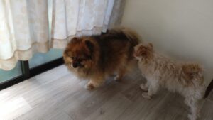 朝のお時間　2025/6/17