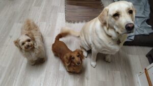 夜のお時間　2025/6/17