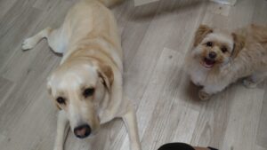 朝のお時間　2025/6/18