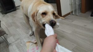 夜のお時間　2025/6/18